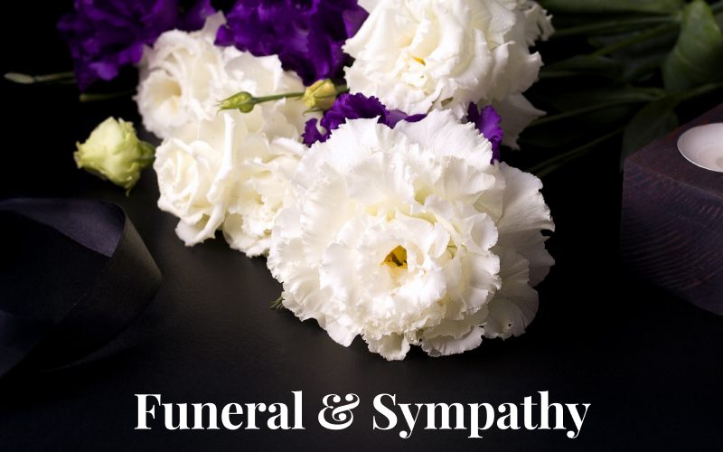 Funeral & Sympathy order peace lily plant El Paso