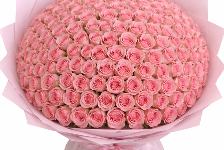 100 Pink Rose Buchon Expressing Condolences with Meaningful Funeral Flower Arrangements